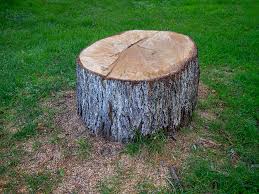 Best Utility Line Clearance  in Huntsville, AL