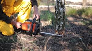 Best Lawn Disease Treatment  in Huntsville, AL