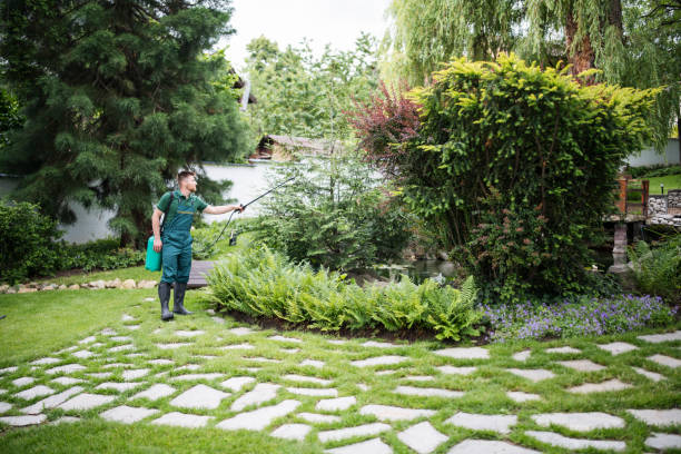 Best Fruit Tree Pruning  in Huntsville, AL